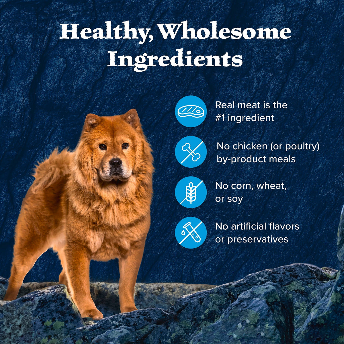 Wilderness Trail Toppers Wild Cuts Wet Dog Food, Chicken & Beef, 3Oz (12 CT)