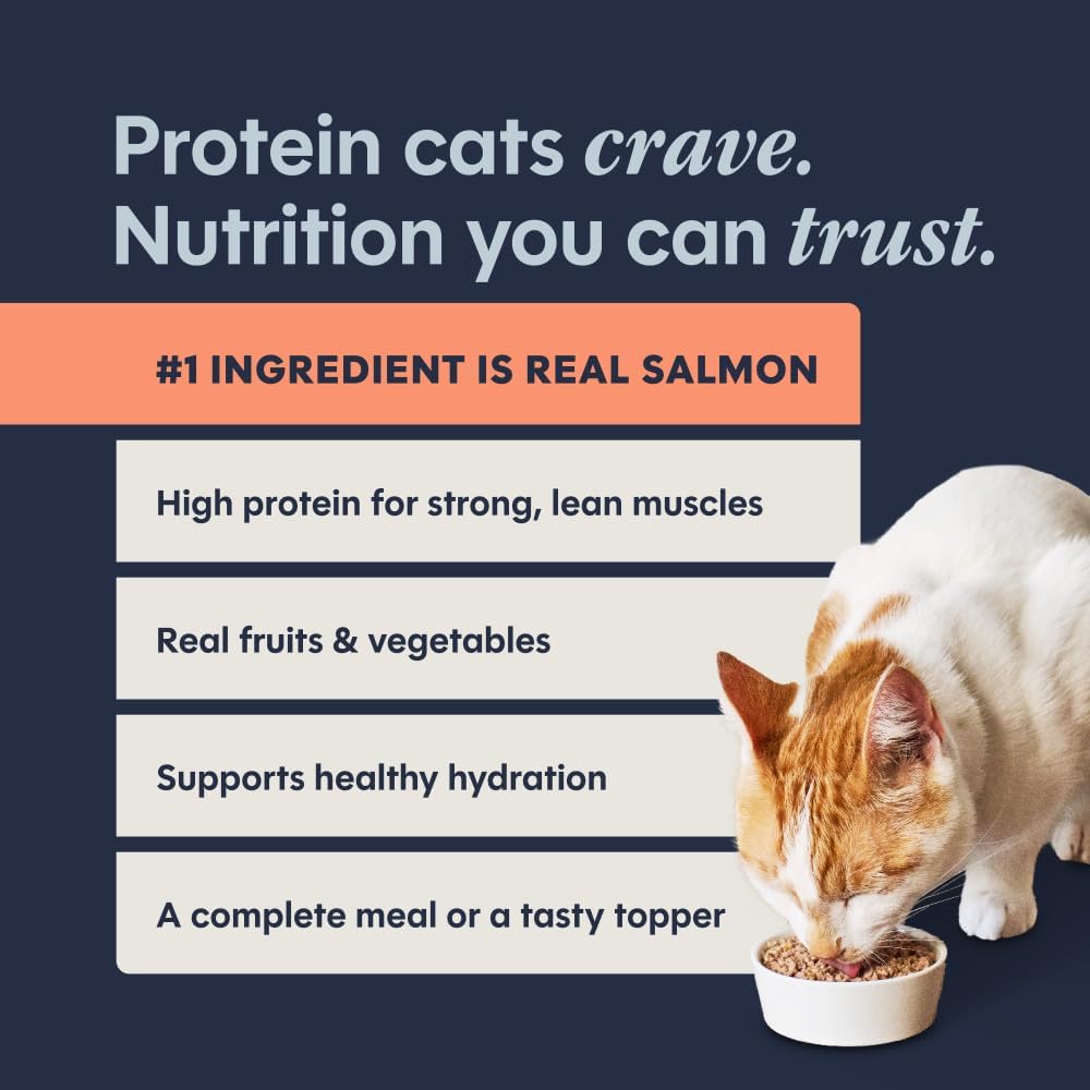 Original Grain Free Real Salmon Recipe Natural Wet Canned Cat Food by Nature'S Variety, 5.5 Oz. Cans (Case of 12)