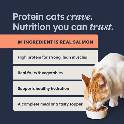 Original Grain Free Real Salmon Recipe Natural Wet Canned Cat Food by Nature'S Variety, 5.5 Oz. Cans (Case of 12)