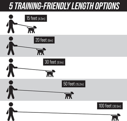 Free Range - 3/4 Inch Nylon Training Leash - for Large and Medium Dogs - Long Lead with Handle - Great for Training, Play, Camping, or Backyard (50 Ft, Orange)
