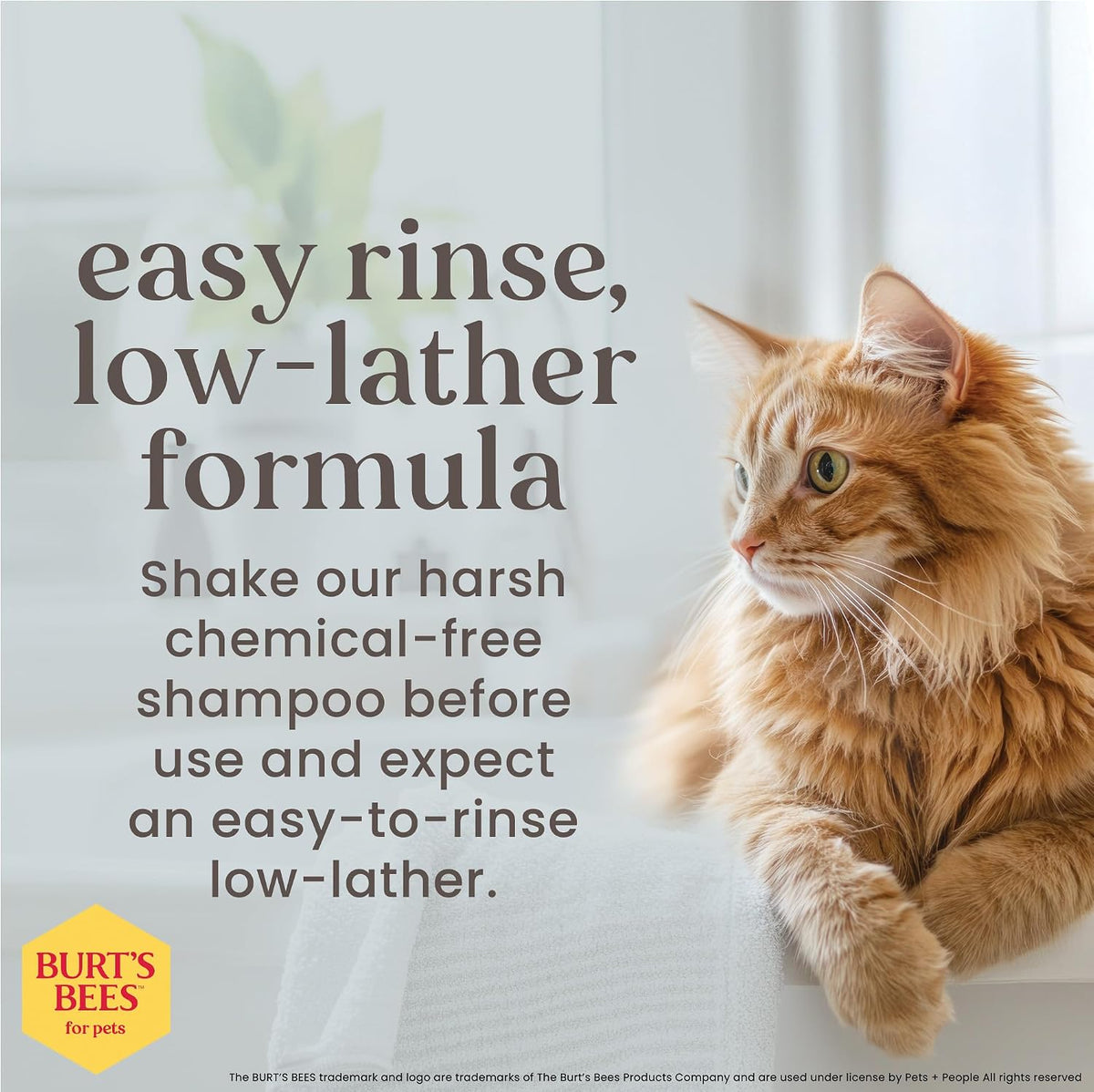 Hypoallergenic Cat Shampoo, Unscented, 10 Fl Oz, 2-Pk