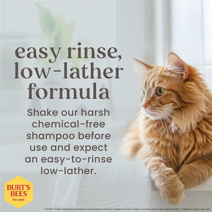 Hypoallergenic Cat Shampoo, Unscented, 10 Fl Oz, 2-Pk